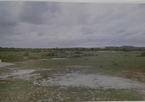 Land Allotted & Foundation Laying