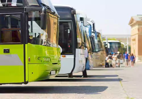 Shamirpet Bust Stand